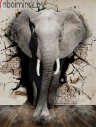 3д фотообои слон