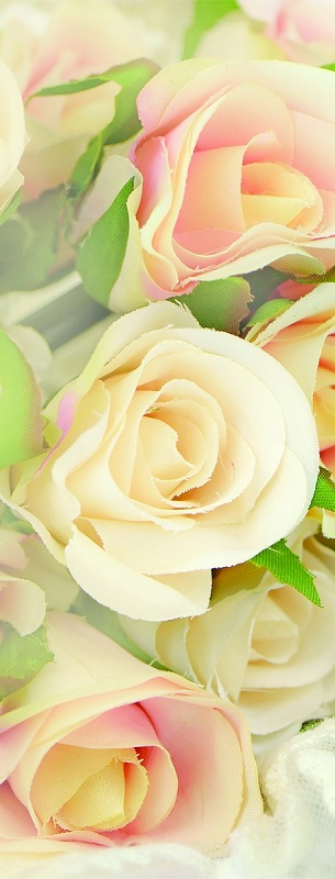 Фотообои Greenberry 254 Сатиновые розы