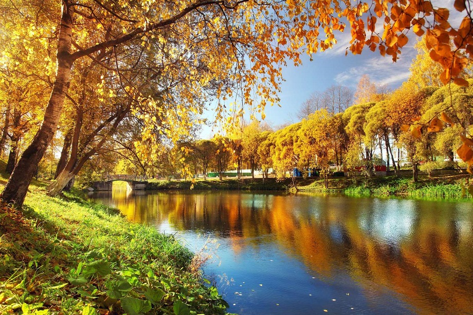 Фотообои De-Art Осенний пруд V4-036