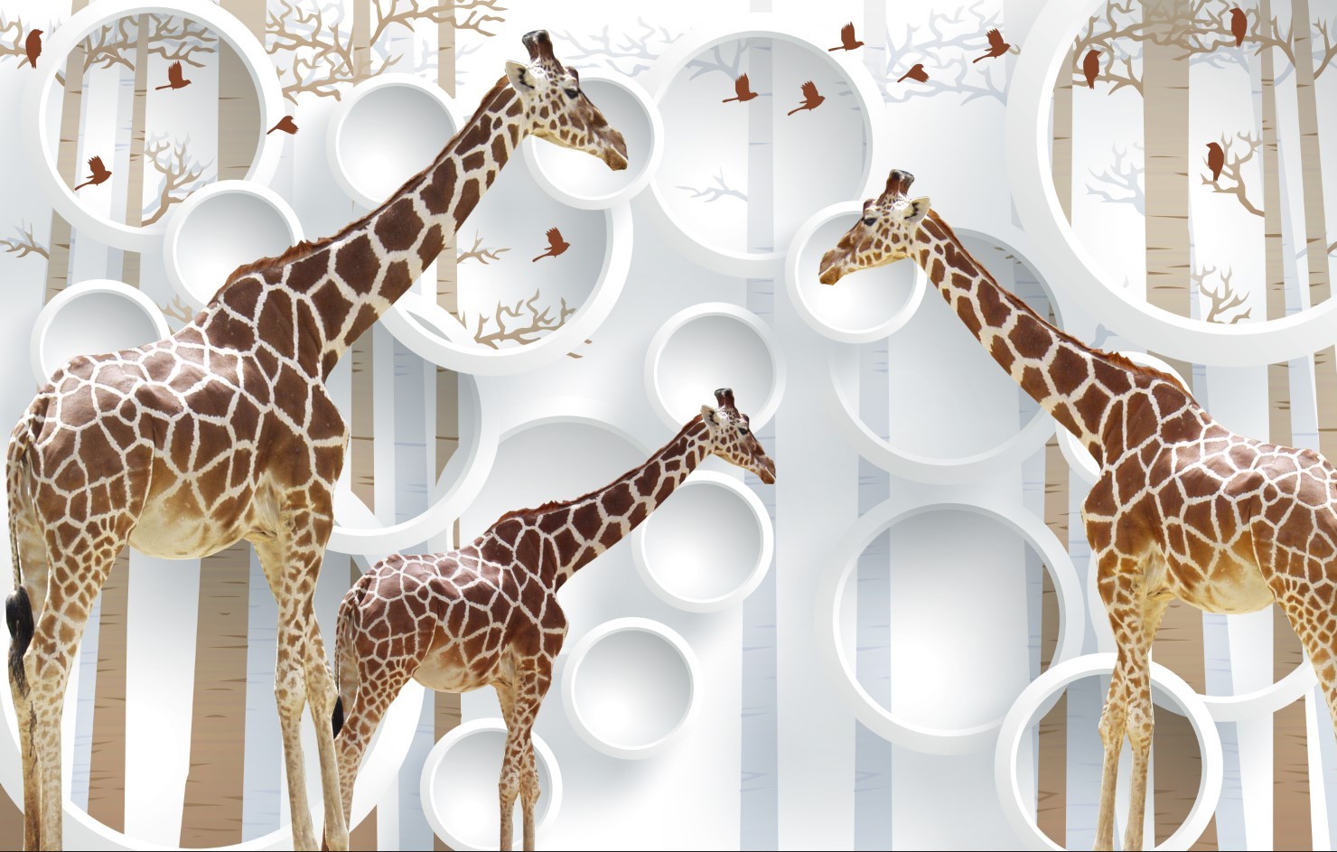 3D фотообои жирафы