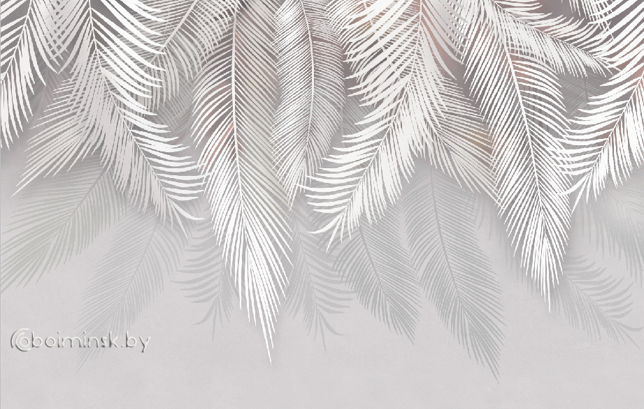 Фотообои листья пальмы перья