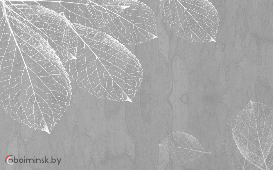 Фотообои листья серый тон