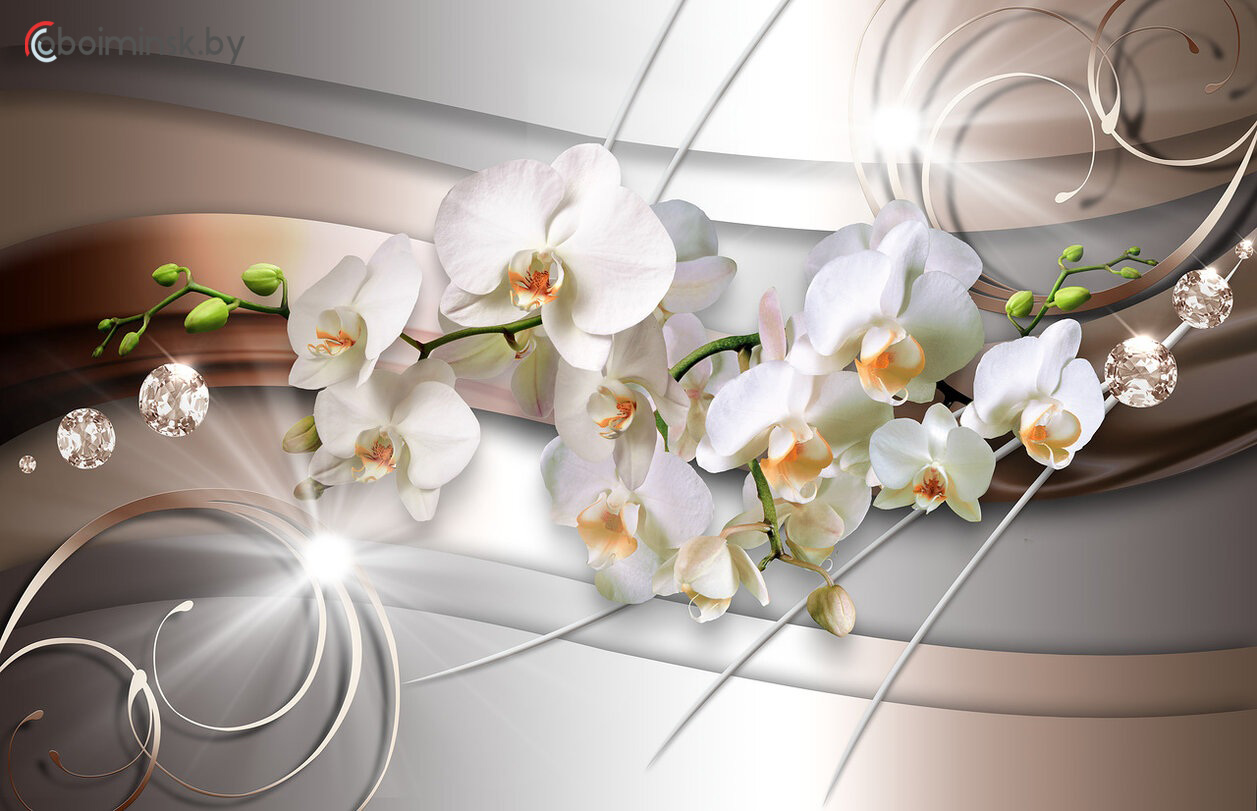 3д фотообои белая орхидея