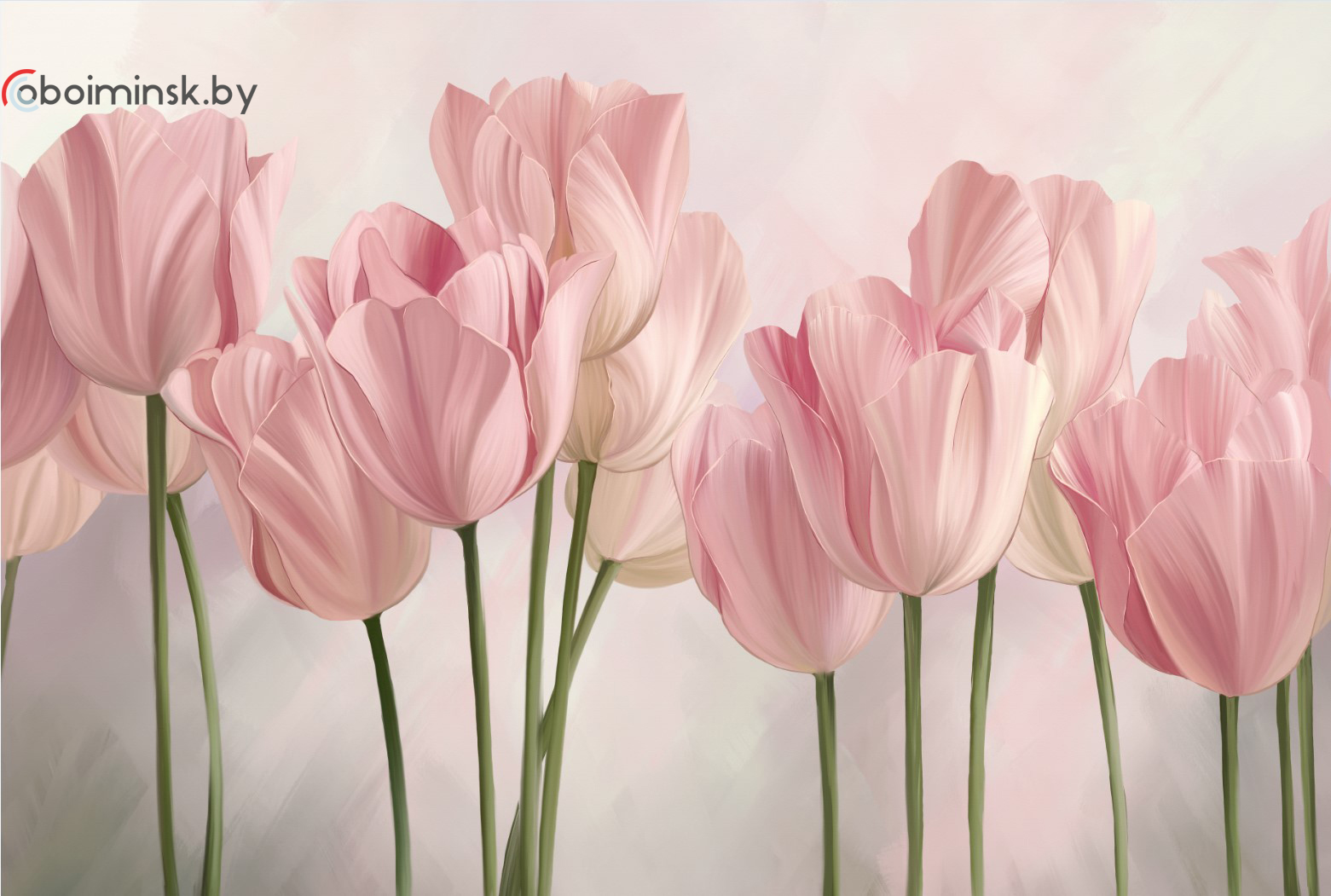 Фотообои розовые тюльпаны фреска
