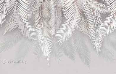Фотообои листья пальмы перья