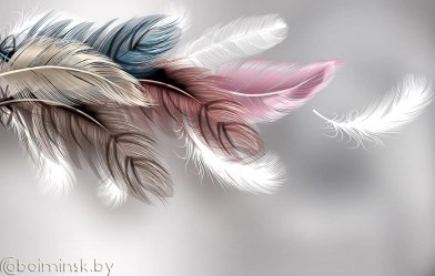Фотообои De-Art 3Д Перья-2