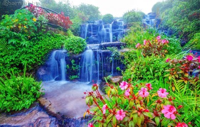 Фотообои De-Art Цветочный водопад