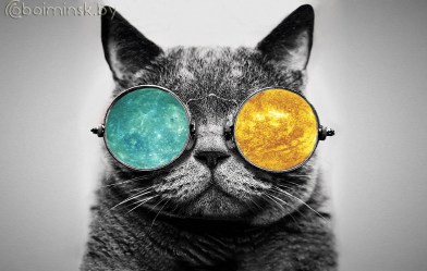 Фотообои De-Art Кот в очках