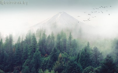 Фотообои Лес и горы в тумане фреска