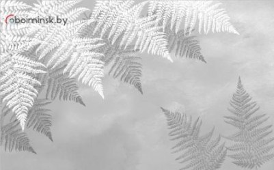 Фотообои листья папоротника серый тон