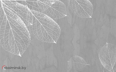 Фотообои листья серый тон