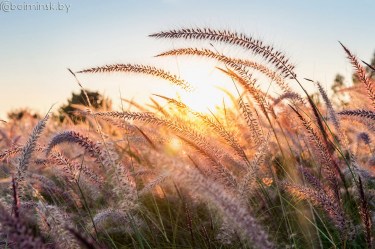 Фотообои De-Art Начало дня