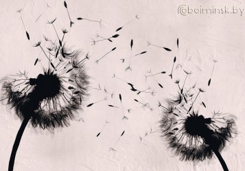 Фотообои De-Art Одуванчики фреска-2