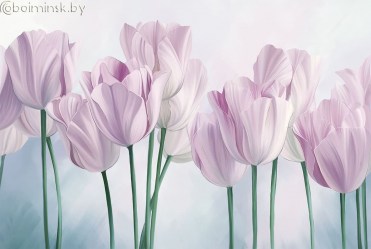 Фотообои De-Art Розовые тюльпаны