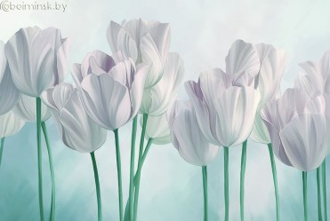 Фотообои De-Art Мятный фон тюльпаны