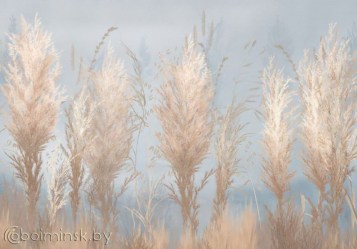 Фотопанно De-Art Золотая трава фреска голубой фон